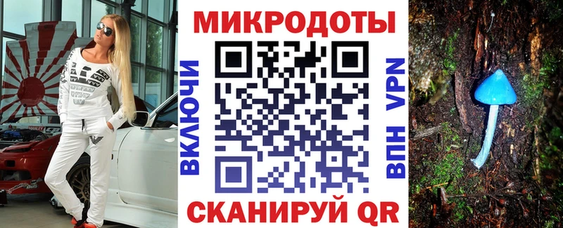 цена Ковылкино Псилоцибиновые грибы Magic Shrooms